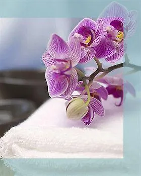 Hotel Arte & Mare Elia Luxury And Elia (Mykonos)